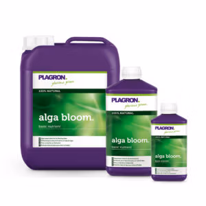 Alga Bloom Plagron