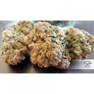 Alternative view of Auto Think Big | Dutch Passion