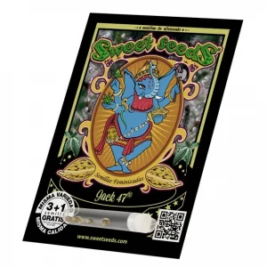 Alternative view of Jack 47 | Sweet Seeds