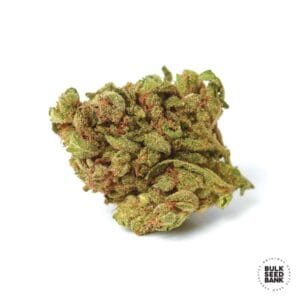 Alternative view of Blueberry Berry | Bulk Seed Bank