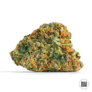 Guerilla Glue Bulk Seed Bank