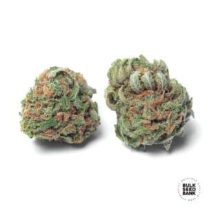 Auto Chronical Bulk Seed Bank