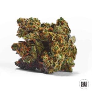 Auto Jack Hair Bulk Seed Bank