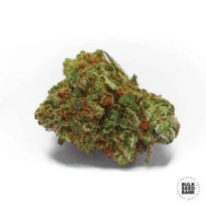 Sour Diesel Bulk Seed Bank