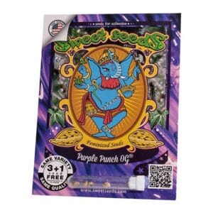 Alternative view of Purple Punch OG | Sweet Seeds