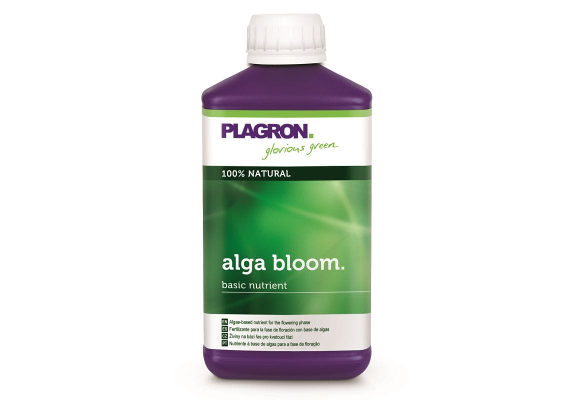 Alga Bloom 500 ml