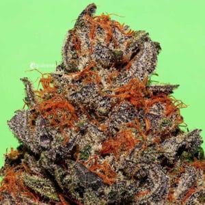 Unknown Kush Delicious Seeds