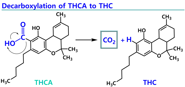 kemijski prikaz dekarboksilacije