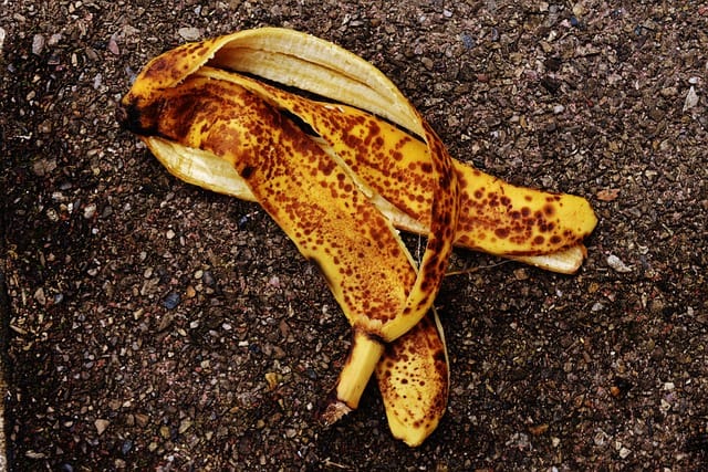 Naravna gnojila iz bananinih olukov