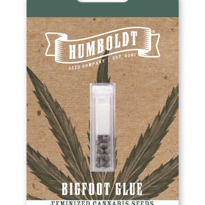 Blueberry Cupcake Humboldt Seed Company