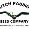 Dutch Passion semena konoplje