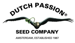 Dutch Passion semena konoplje