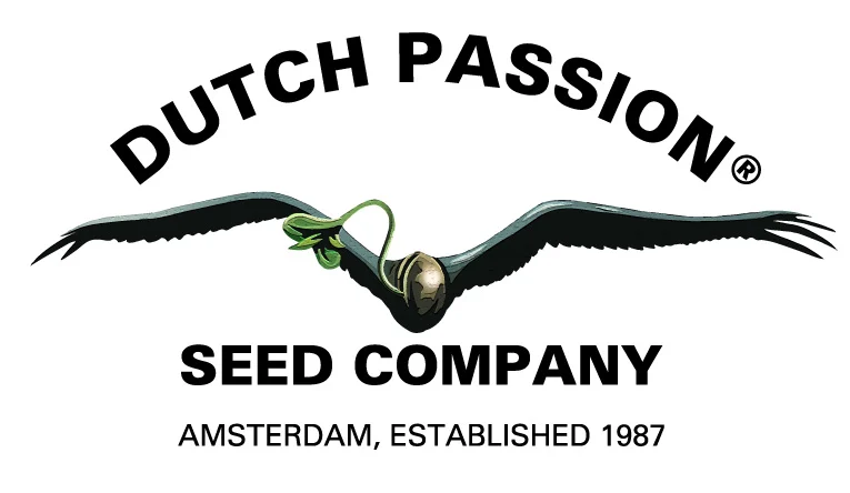 Dutch Passion semena konoplje